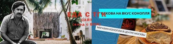 молекула духа Ельня