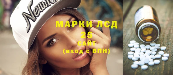 твердый Елизово