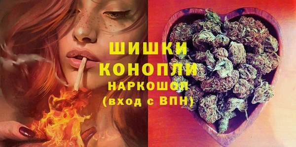 PSILOCYBIN Заволжск