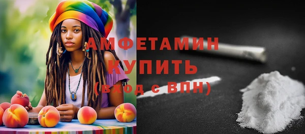 молекула духа Ельня