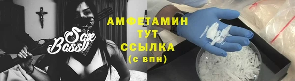молекула духа Ельня