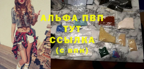 молекула духа Ельня