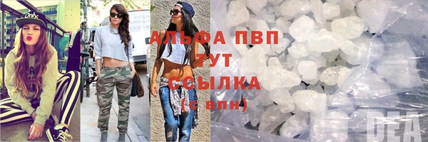 твердый Елизово