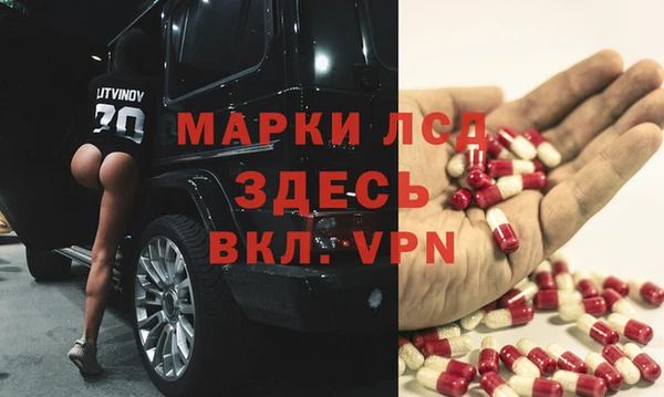 молекула духа Ельня