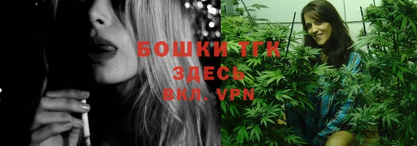 твердый Елизово