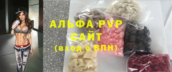 молекула духа Ельня